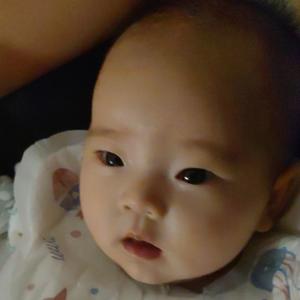 开封的升斗小民头像
