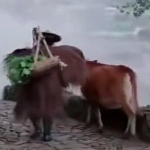 实话实说头像