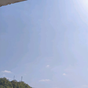 番茄720887256191763头像