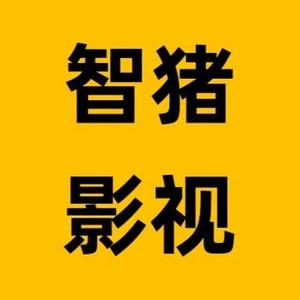 智猪影视头像