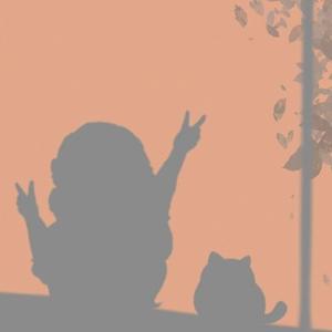 仲夏夜的猫野 头像