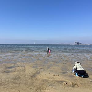 芦花潇洒飞扬头像