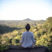 正直小厨娘头像