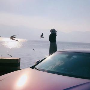 窝在光合里头像