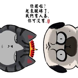 冰果Bingo头像