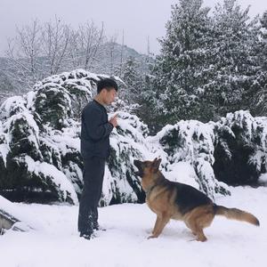 杭州创格训犬基地头像