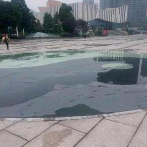 新常新科技头像