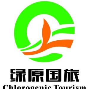 乌鲁木齐市绿原国际旅游有限责任公司头像