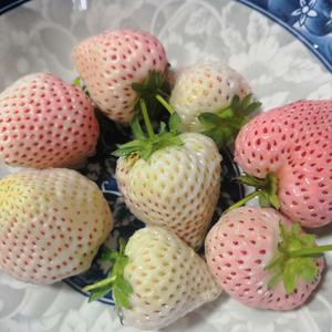 就这么作头像