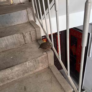 庞飞飞的生活头像