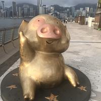 滴滴滴987654头像
