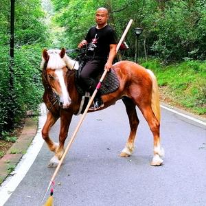 通济武学二爷头像