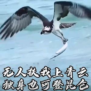 品茶人生哥头像