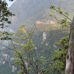 蜀小张头像