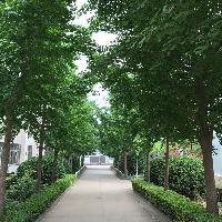 静水仁青头像