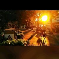 这里关于篮球头像