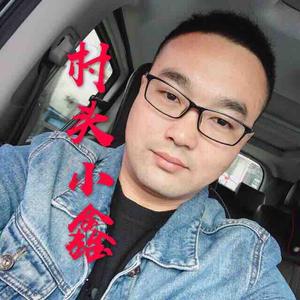 村西头的小鑫头像