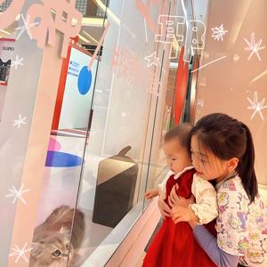 向暖育儿头像