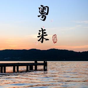 粤来影视w头像