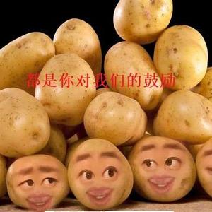 四个土豆头像