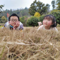 子非鱼头像