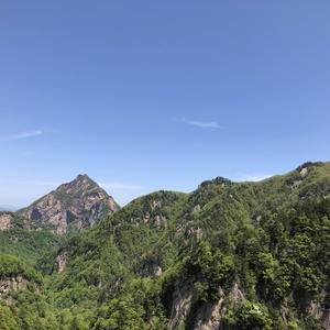 热心橘子1D9头像