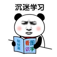 是森森嗨皮头像