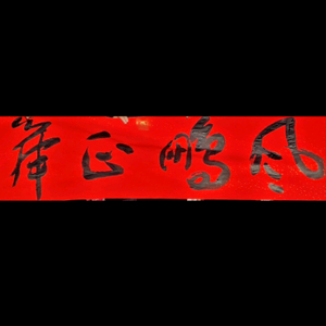 風鵬正舉头像