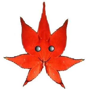 红叶绵阳头像