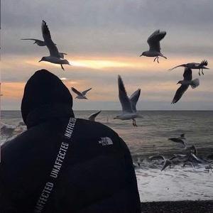 湖面上浮漾的月光头像
