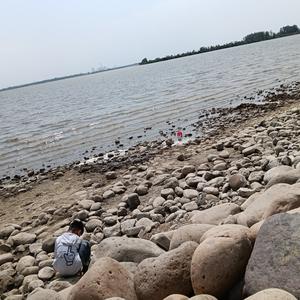 浅意赏花开头像