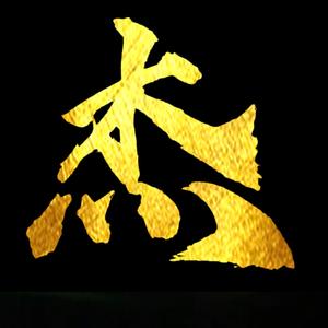 随杰飞翔头像