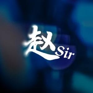 赵Sir追影头像