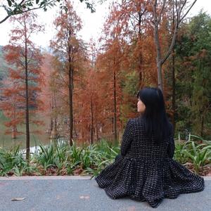 婚礼司仪Dy头像
