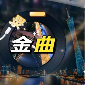 一录金曲头像