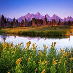 雪儿正能量分享 头像