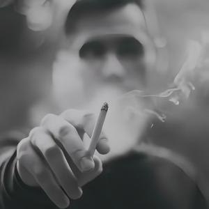 不必假装深情º头像