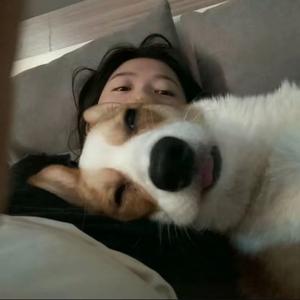 宇宇说剧头像
