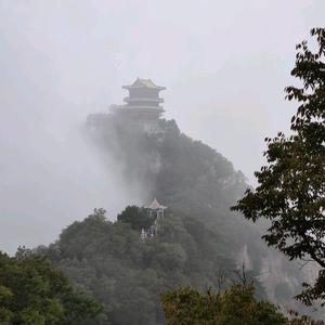 文旅背包客康师傅头像