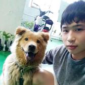 xiedd88头像