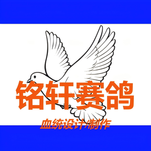 铭轩赛鸽之家头像