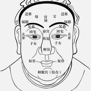 阳叔聊运头像