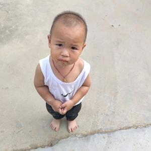喜欢种草养鱼的理发师头像