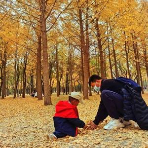 大侄子&amp;印象北京头像