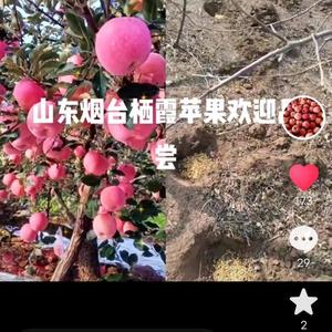 牟家家庭农场头像