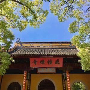 草木医学周时宇头像
