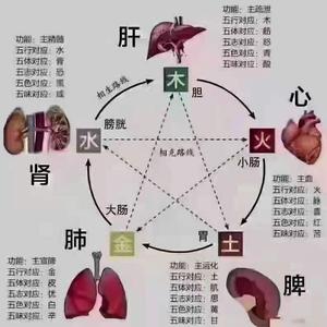 健康守护者头像