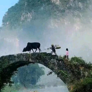 糊涂坨头像