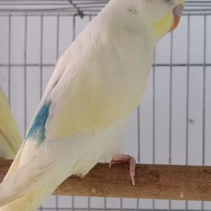 好可空欧的个人主页 西瓜视频