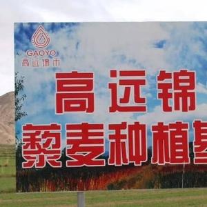 高远农夫头像